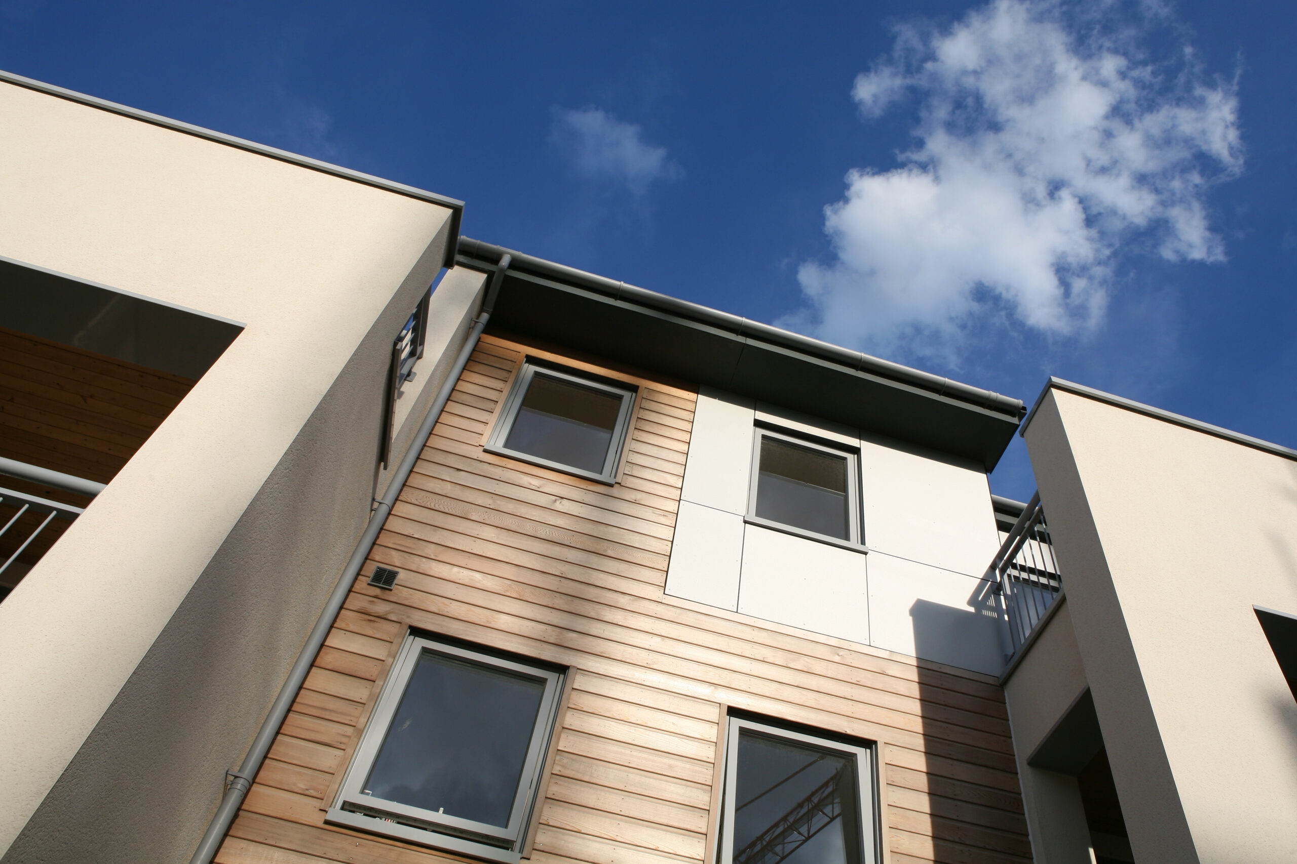 Mixed-material recladding — cedar timber combined with plaster render on a modern home exterior