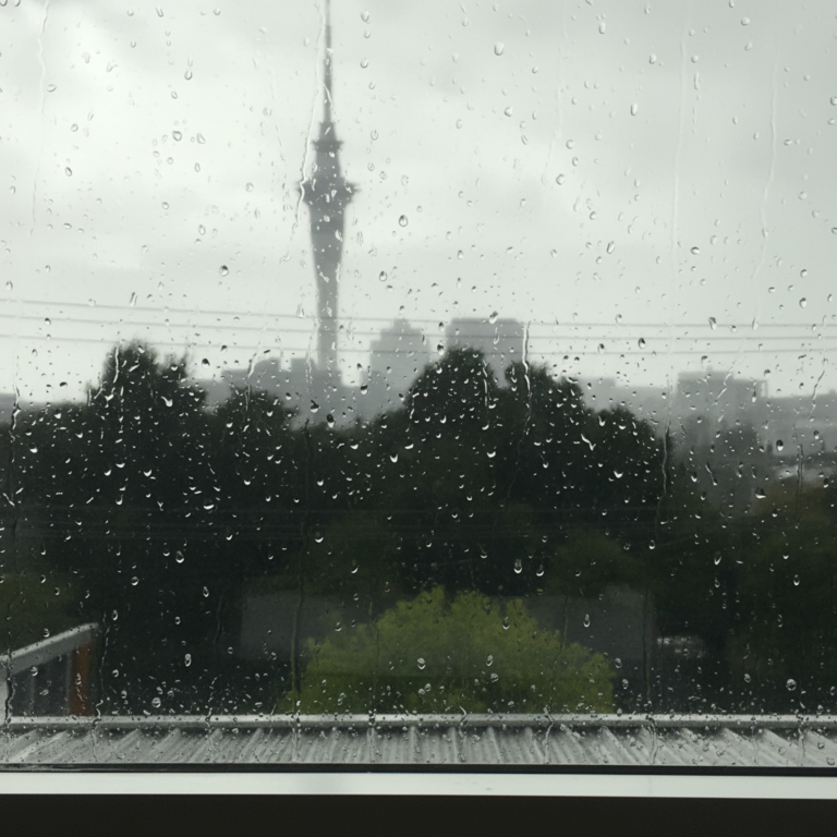 Weathertight Renovations: Solving Auckland’s Unique Climate Challenges